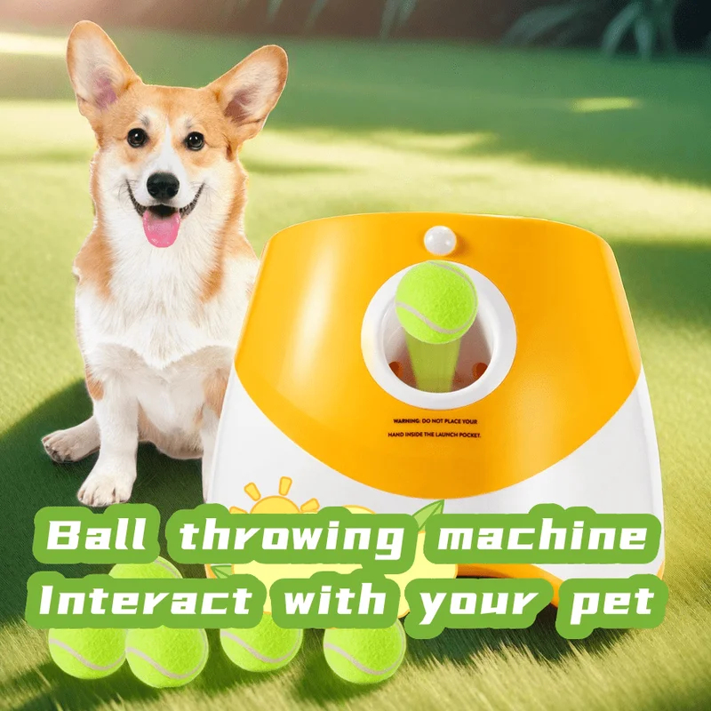Dog Launcher Automatic Dogs Ch - Catapult Launcher Toy recension och pris
