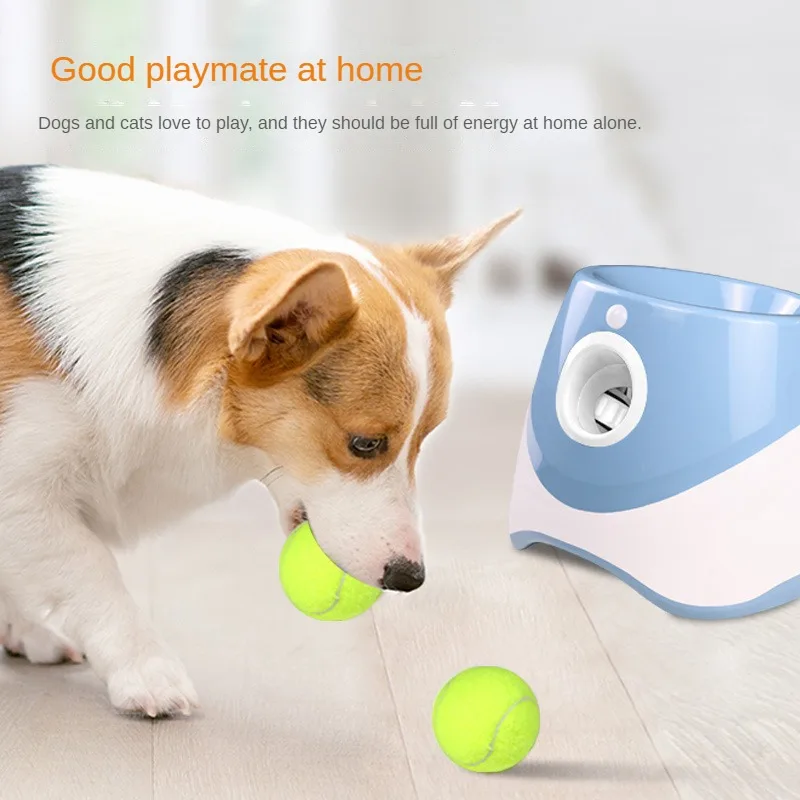Dog Tennis Launcher Automatic  - Catapult Launcher Toy recension och pris